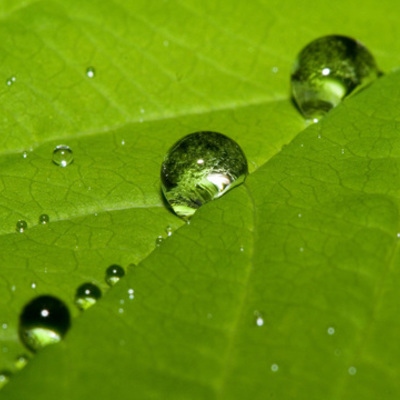 Timeline: Minu jõgi - Niilus