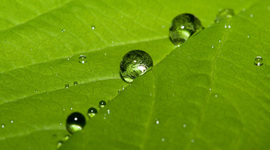 Timeline: Minu jõgi - Niilus