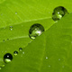 Wallpaper 445683