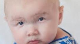 Timeline: Katie Baker