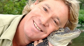 Timeline: Steve Irwin