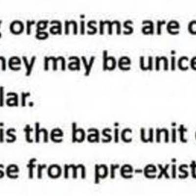 Timeline: Blayc Hacker's Cell Theory Timeline