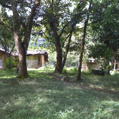 Timeline: CAMINADAS 2014