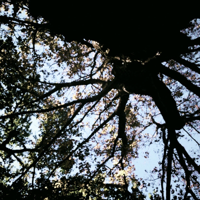 Timeline: Personal History