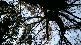 Timeline: Personal History