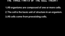 Timeline: Lia's Cell Theory Timeline
