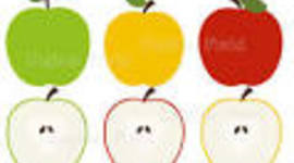 Timeline: My Personal History