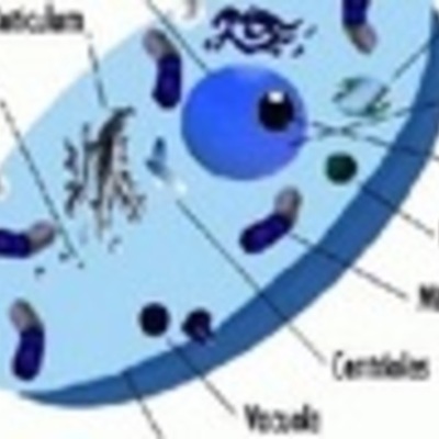 Timeline: cell theory