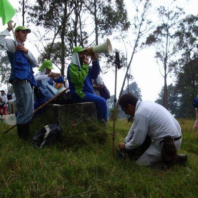 Timeline: CAMINADAS 2014