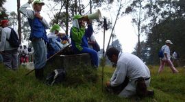 Timeline: CAMINADAS 2014