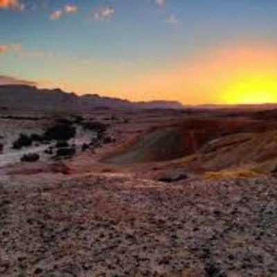 Timeline: השנה שלי בבית הספר