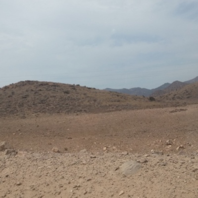 Timeline: Mi línea del tiempo