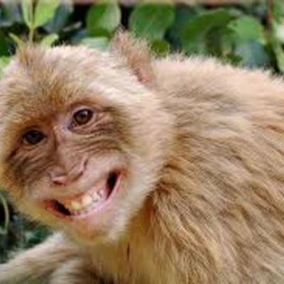 Timeline: world history 2: time toast timeline