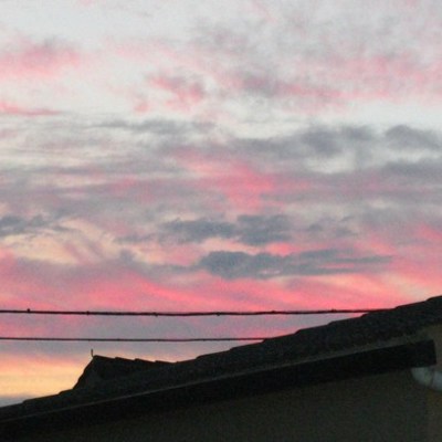 Timeline: Línea de Tiempo, Ariana