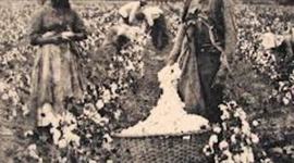 Timeline: Slavery and the Events Leading up to the Civil War