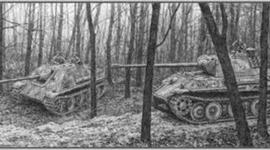 Timeline: The Battle of Hürtgen Forest is developing