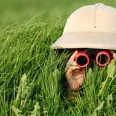 Timeline: Spanish Exploration