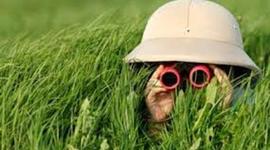 Timeline: Spanish Exploration