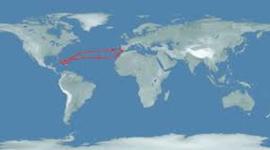 Timeline: Spanish Exploration