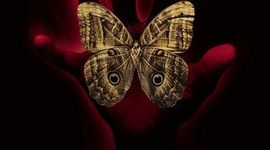 Timeline: A Sound of Thunder