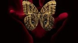 Timeline: Sound of Thunder