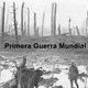 Primera guerra mundial 1 728