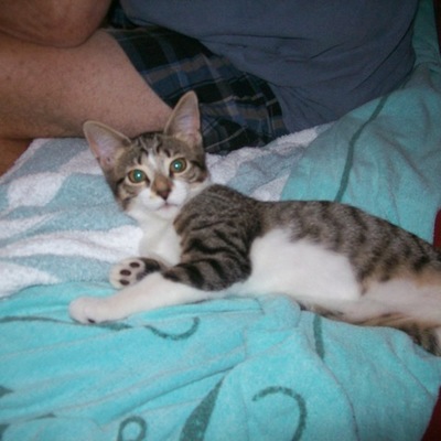 Timeline: 1800 Events