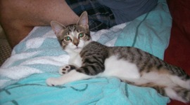 Timeline: 1800 Events