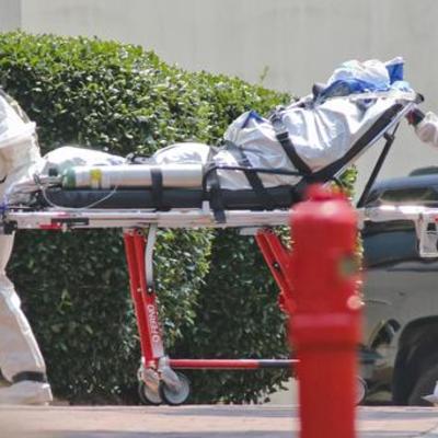 Timeline: Cotton Top Tamarins Core 2