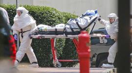 Timeline: Cotton Top Tamarins Core 2