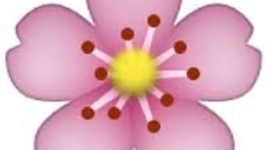 Timeline: American Revolution