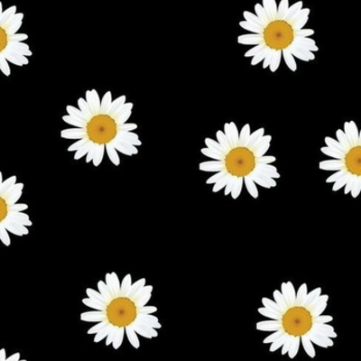 Timeline: Famous dead