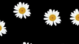 Timeline: Famous dead