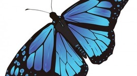 Timeline: A Sound of Thunder Timeline