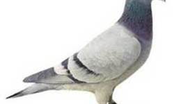 Timeline: Desenvolvimento Econômico Da China