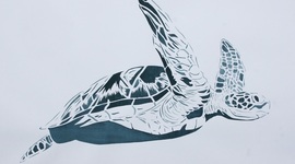 Timeline: Historia de la Etica