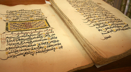 Timeline: Actividad Final