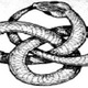 Uroboros 2