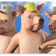 3pigs