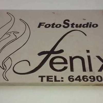 Timeline: Linea de Tiempo de Foto Studio Fenix