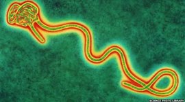 Timeline: Ebola