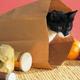 Cat bag 5