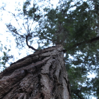 Timeline: Theatre Arts and Hearts; Ibsen