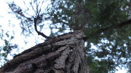 Timeline: Theatre Arts and Hearts; Ibsen