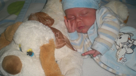 Timeline: El ciclo de mi vida.