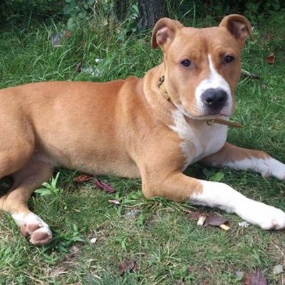 Timeline: la linea de la vida