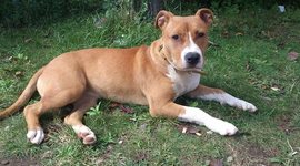 Timeline: la linea de la vida