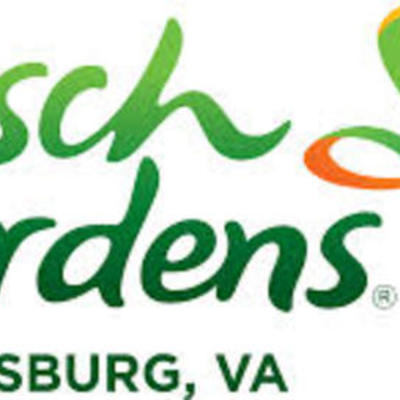 Timeline: Busch Gardens-Williamsburg Activities