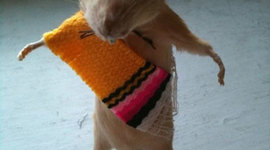 Timeline: Mexican-American War