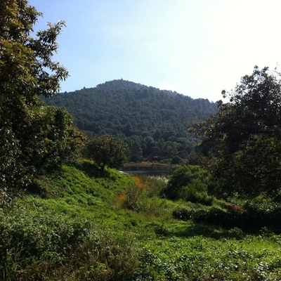 Timeline: Mi linea del tiempo